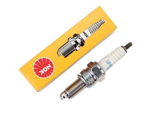 Ignition plug ngk fit - ignition,
