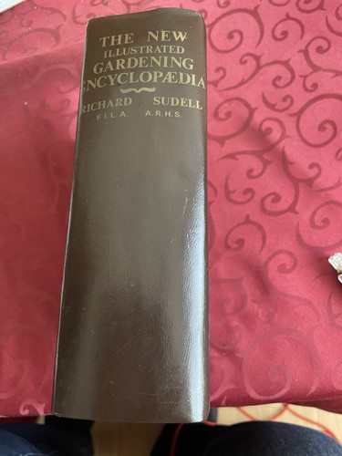 Vintage 1930s 40s - vintage, 1930s/40s