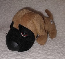 Artlist the dog collection