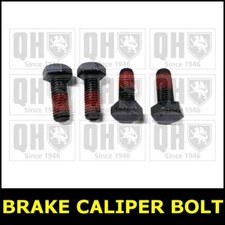 Brake Caliper Bolt FOR VW