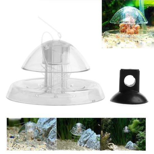 Clear snail catchers aquariums - clear,