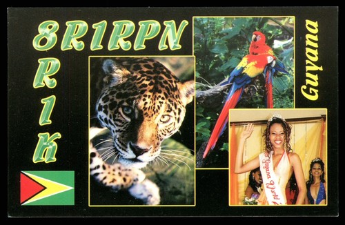 Qsl radio card 8r1k - 8r1k, p