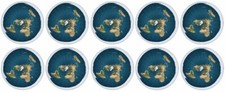 Flat Earth Circle Vinyl