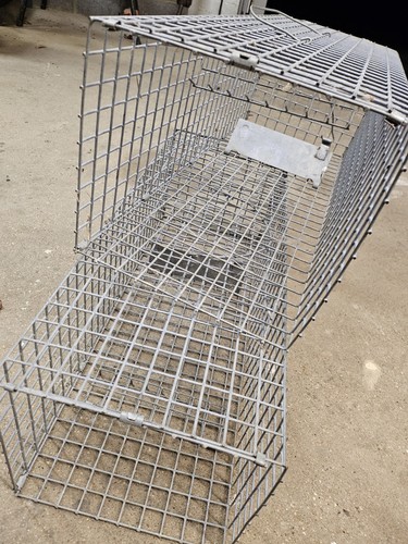 Steel mesh rabbit traps - mesh,