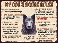 Bouvier Des Ardennes Dog My