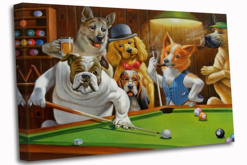 Dogs playing pool m - dogs,