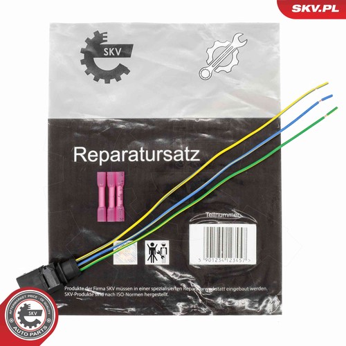 Fits skv germany - fits,