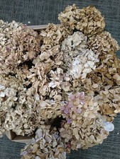 30 Organically Grown Dried