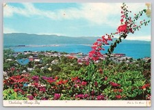c29194  Montego Bay  Jamaica  postcard