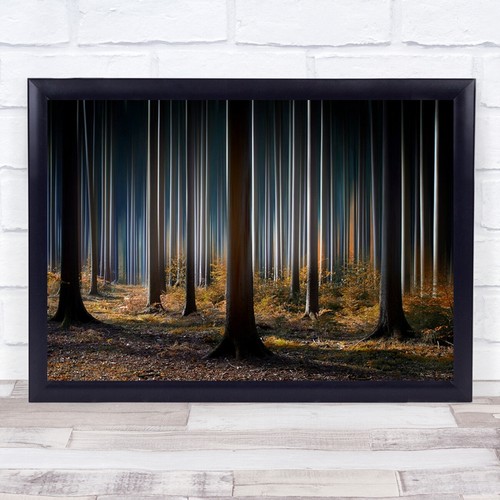 Mystic wood tree forest - mystic, woods