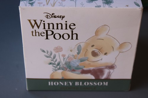 Winnie the pooh - pooh, box