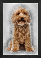 Cross breed dog 7 months o
