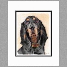 Black and Tan Coonhound Dog