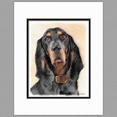 Black and tan - black, coonhound