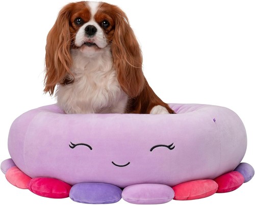 Squishmallows inch beula - 24-inch,