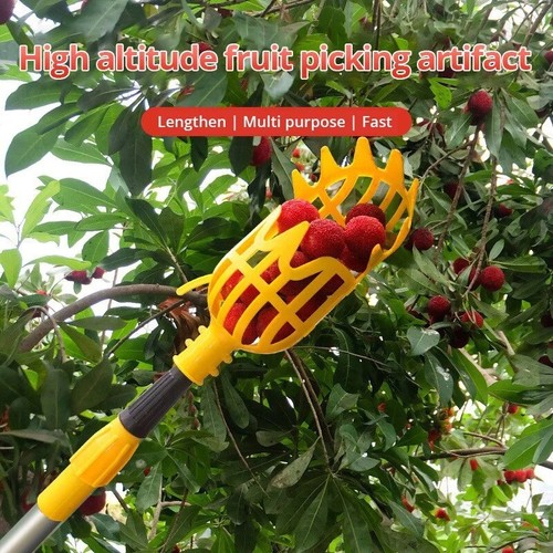 Fruit picker basket garden - fruit,