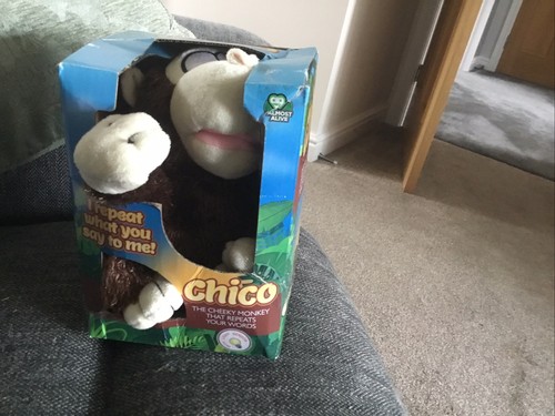 Chico monkey that records - that, and