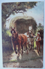 Horses - Tuck, Harry Payne
