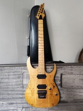 Ibanez rg721msm hardcase - rg721msm, +