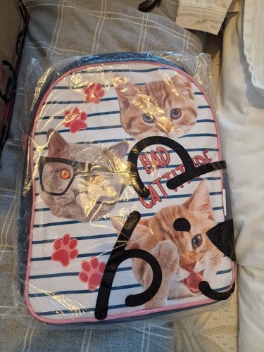 Harry bear bad - , cattitude