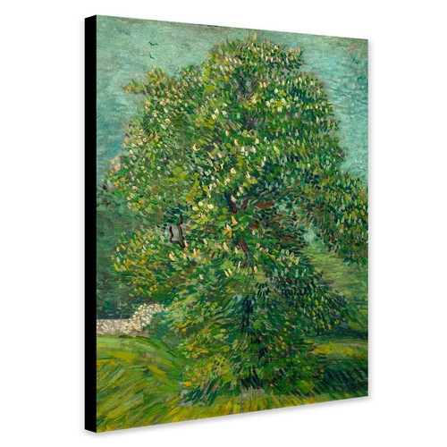 Chestnut tree blossom by - chestnut,