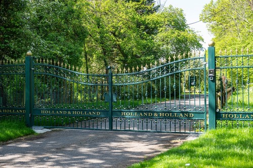 Wrought iron driveway - driveway, gates