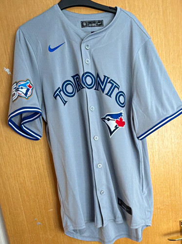 Nike toronto blue - toronto, grey