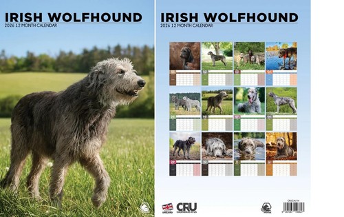 Irish wolfhound 2026 - 2026, calendar