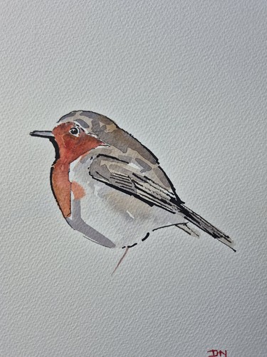 Robin ink watercolour - &,
