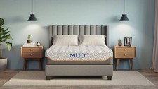 Mlily Fusion Supreme 11.5 Cal