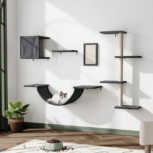 Wall mounted cat climbing - cat,