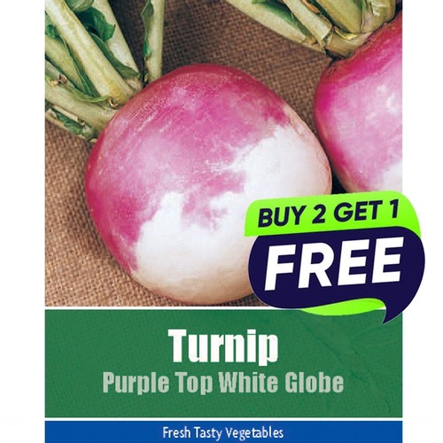 Turnip purple top - purple, white