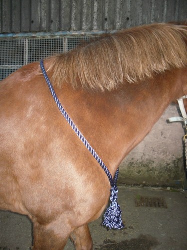 Easy does cordeo - easy-does-it, for