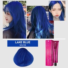 Hair Colour Wax Styling Dye