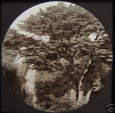 Glass Magic Lantern Slide