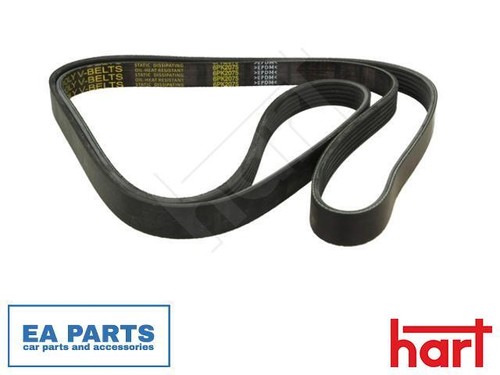 Ribbed belt for - v-ribbed,