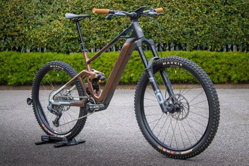 Mondraker dune large - dune,
