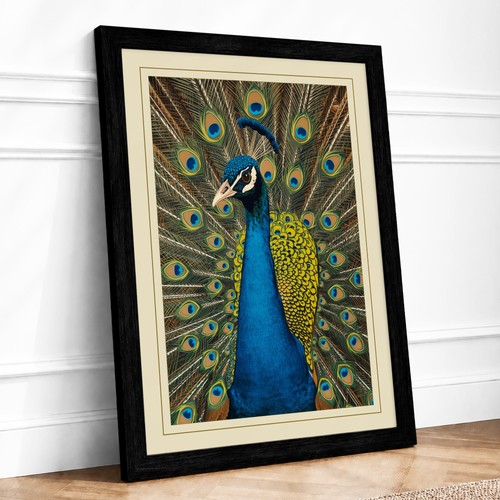 Peacock repose botanical - repose,
