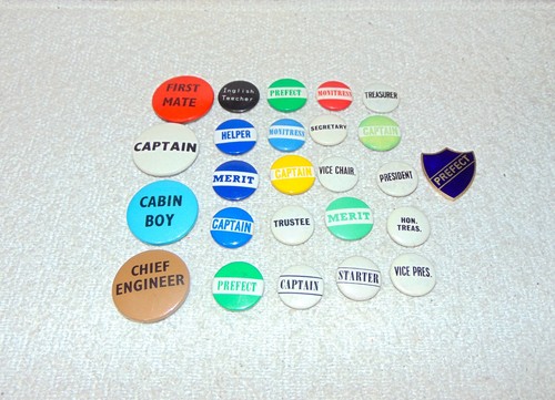 School college leadership pin - college,