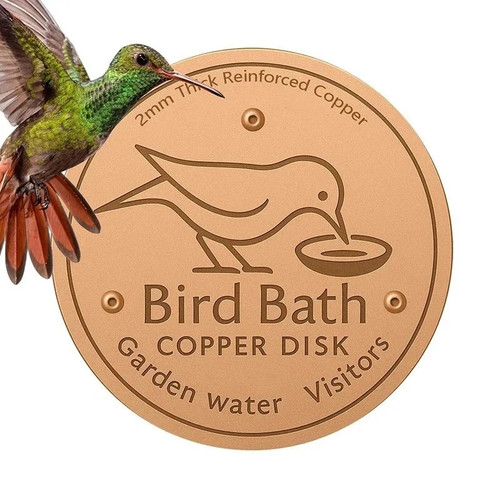 Bird bath copper - bird,