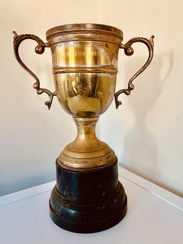 Big large silver trophy - 🏆,