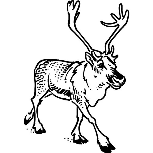 Reindeer unmounted rubber - 'reindeer',