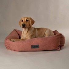 Scruffs Seattle Box Bed - Dog