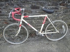 Raleigh Racer 5-spee kids boys