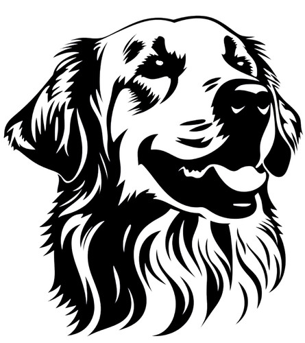 Sizes labrador retriever - 4,