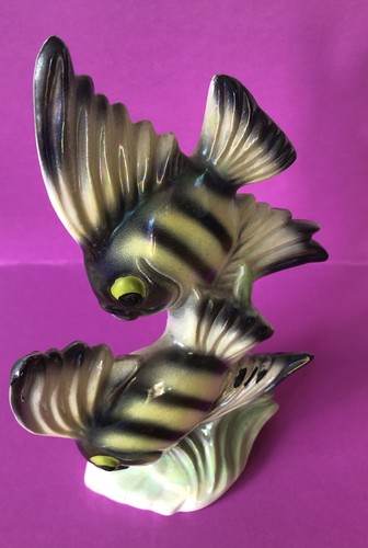 Vintage jema angel fish - vintage,