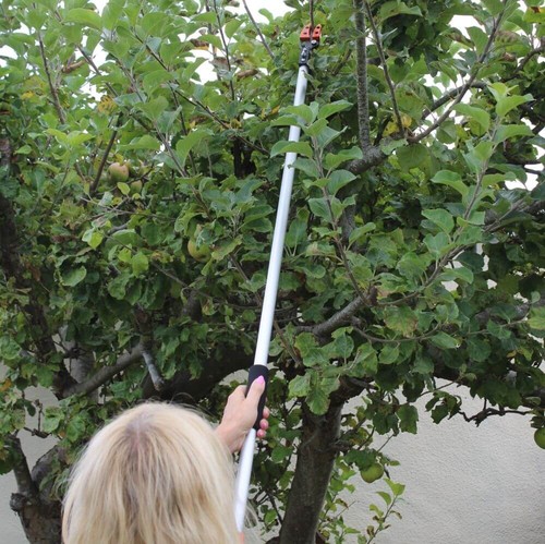 Long reach tree pruner and - reach,