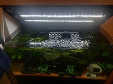 Spray Bar Nozzle Short fits