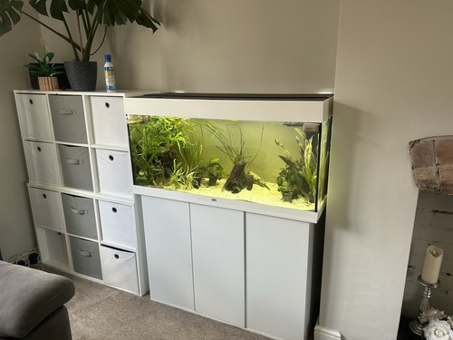 Juwel rio 180 fish - juwel,