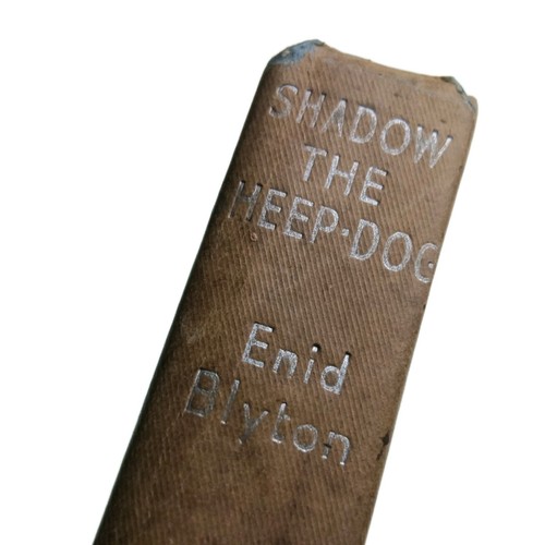 Shadow the sheep dog - sheep,